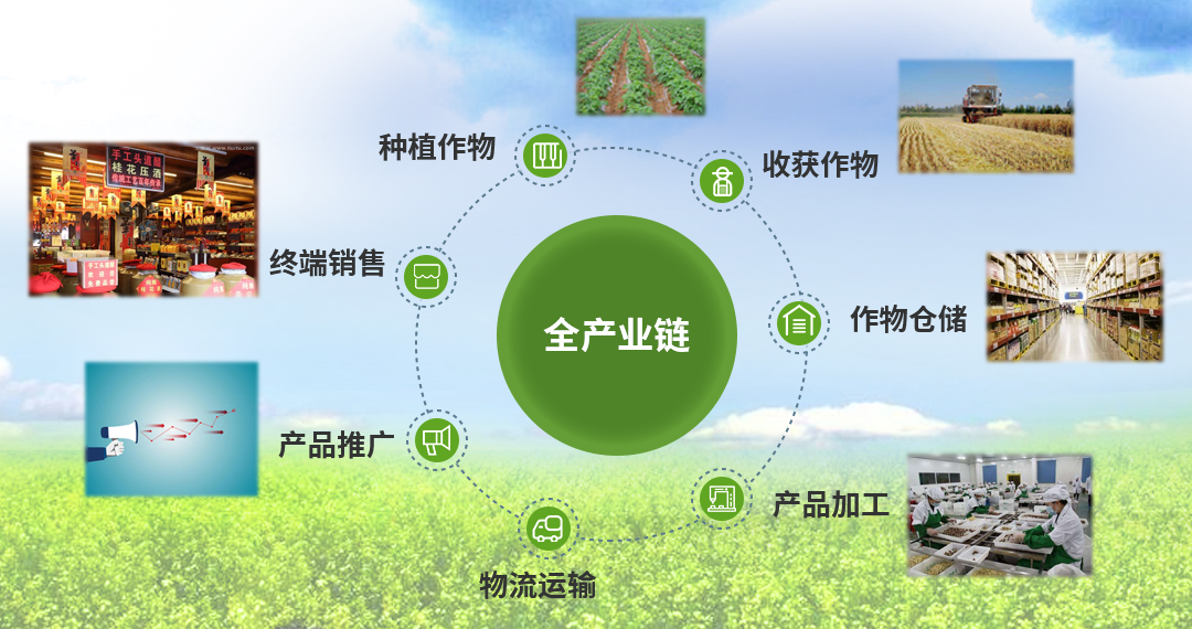 “智慧场馆+绿色基础”成为行业新标杆,行业基础设施逐步完善的简单介绍 “智慧场馆+绿色基础”成为行业新标杆,行业基础设施逐步完善的简单介绍