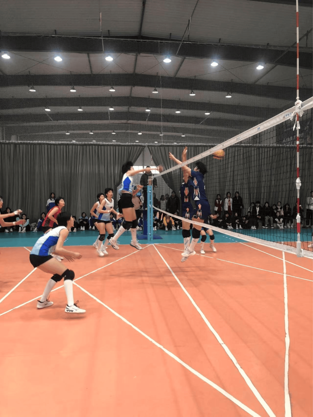 米兰体育APP在线-国际排球赛，激烈争夺胜利荣耀的简单介绍