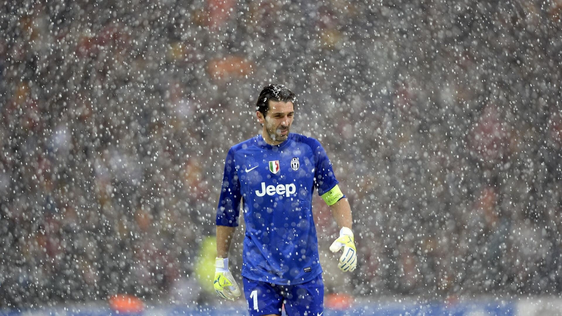 技术节奏图显示蛙泳冠军控制完美，蛙泳冠军视频欣赏